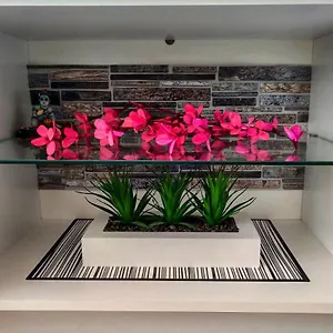 Apartman Siesta, Split